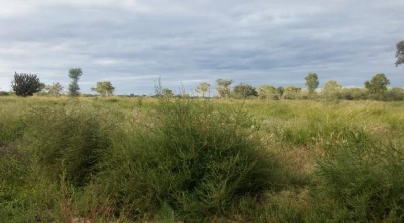 Campo en Venta en  Gral Jose de San Martin, Chaco