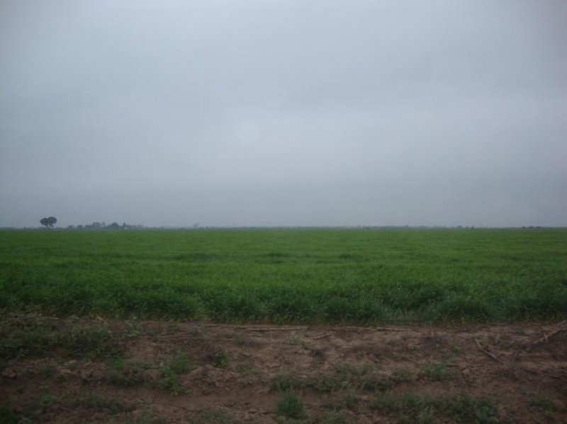 Campo en Venta en  Tres Isletas, Chaco