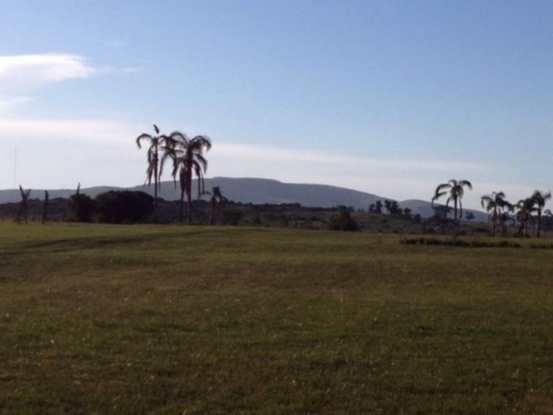 Campo en Venta en  Zabalia, Buenos Aires