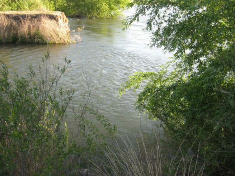 Campo en Venta en  General Roca, Río Negro