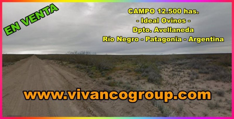 Campo en Venta en  Chelforo, Rio Negro