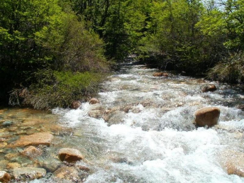 Campo en Venta en  Rio Pico, Chubut