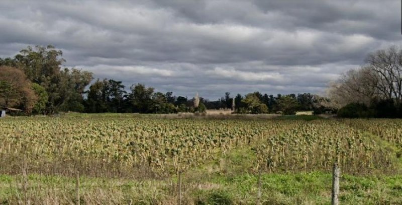 Campo en Venta en Parque Hermoso Mar del Plata, Buenos Aires