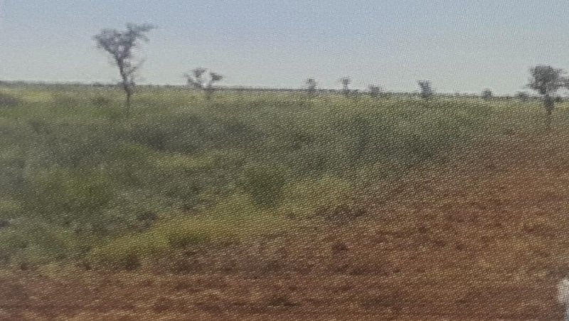 Campo en Venta en  Tostado, Santa Fe