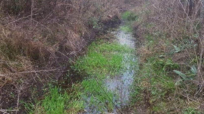 Campo en Venta en  Agua de Oro, Cordoba