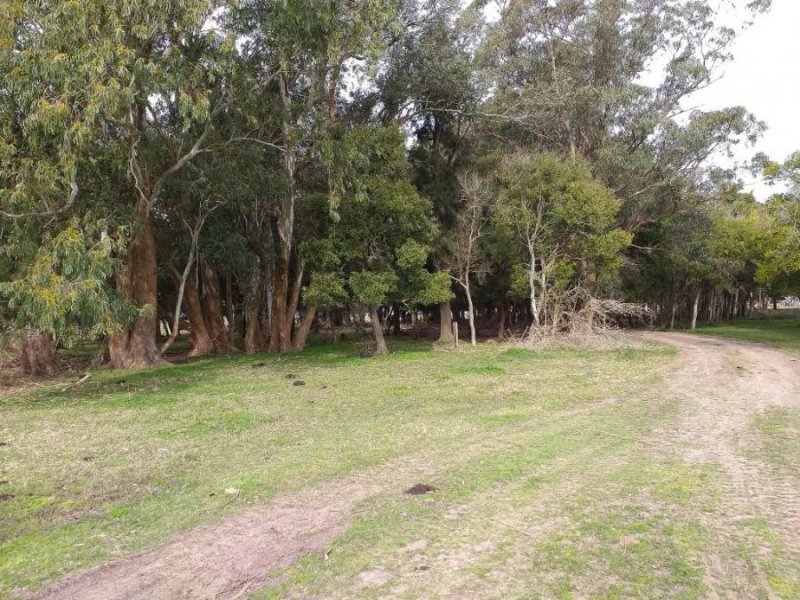 Campo en Venta en Alvarez Jonte Punta Indio, Buenos Aires