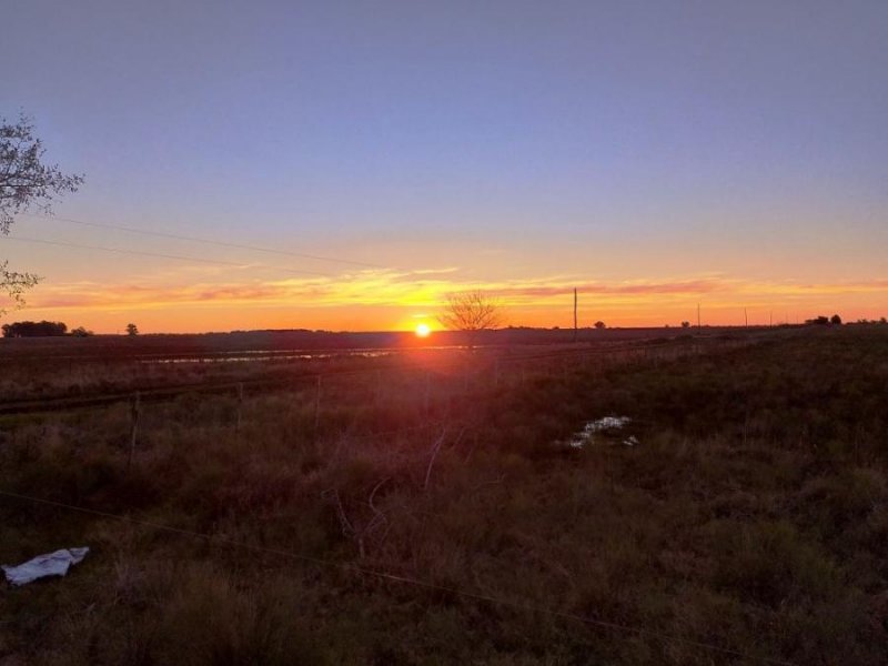 Campo en Venta en  Punta Indio, Buenos Aires