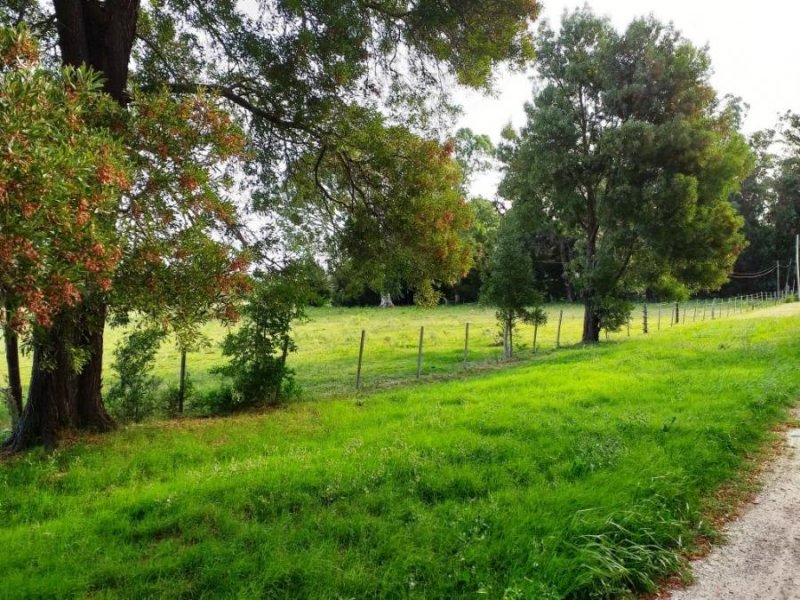 Campo en Venta en  Veronica, Buenos Aires