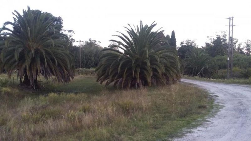 Campo en Venta en Las Tahonas Punta Indio, Buenos Aires