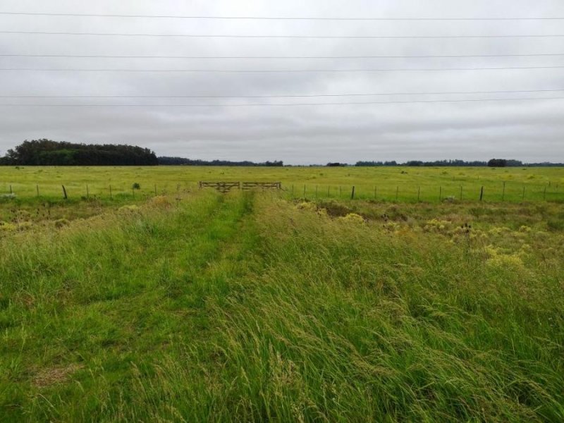 Campo en Venta en Alvarez Jonte Punta Indio, Buenos Aires