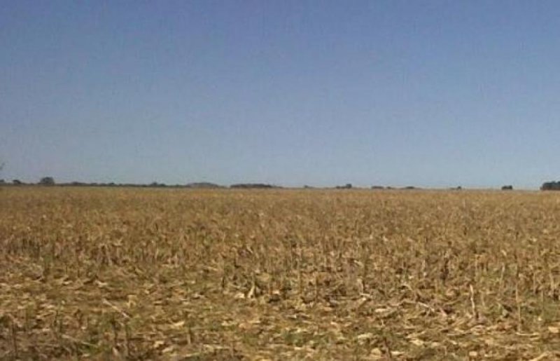 Campo en Venta en  SACHAYOJ, Santiago del Estero