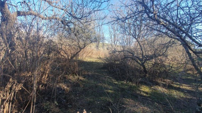 Campo en Venta en  Agua de Oro, Córdoba