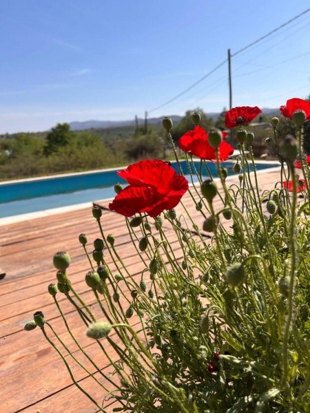 Casa en Alquiler por temporada en  Villa Giardino, Córdoba