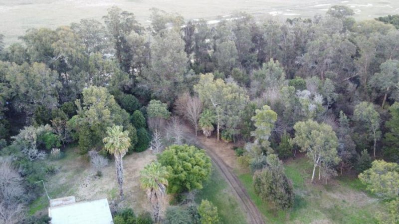 Campo en Venta en Las Tahonas Las Tahonas, Buenos Aires