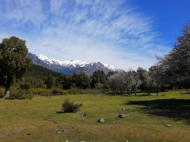 Quinta en Venta en Faldeo boscoso Cerro El Cohiue El Hoyo, Chubut