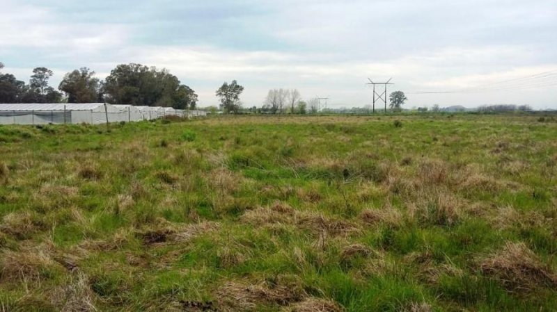 Campo en Venta en  La Plata, Buenos Aires