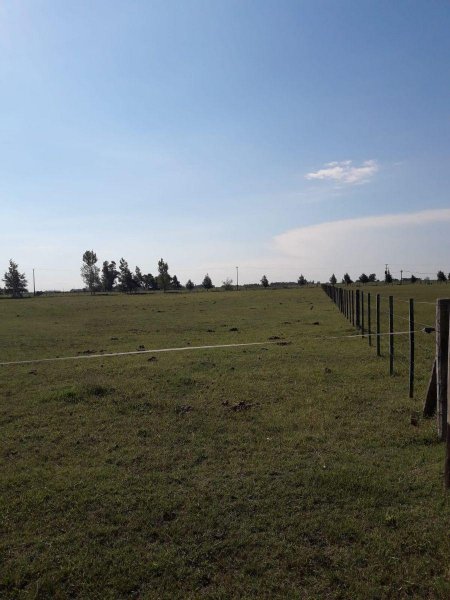 Terreno en Venta en Chacras de Abbott Abbott, Buenos Aires