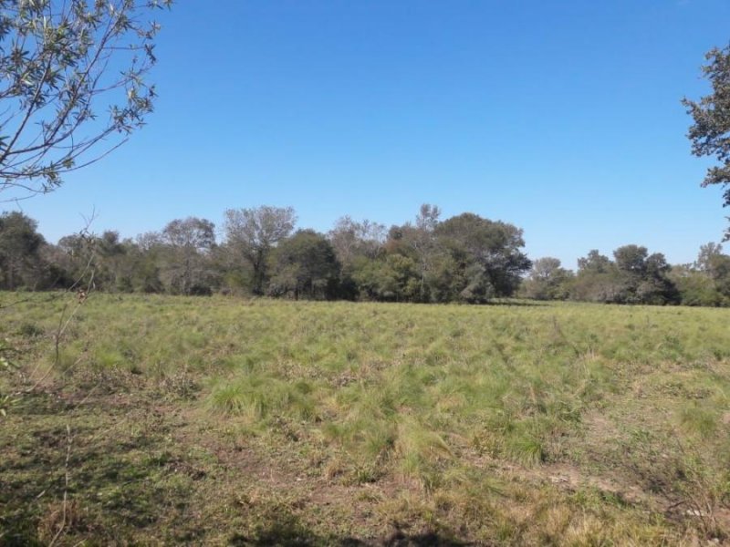 Campo en Venta en  La Verde, Chaco