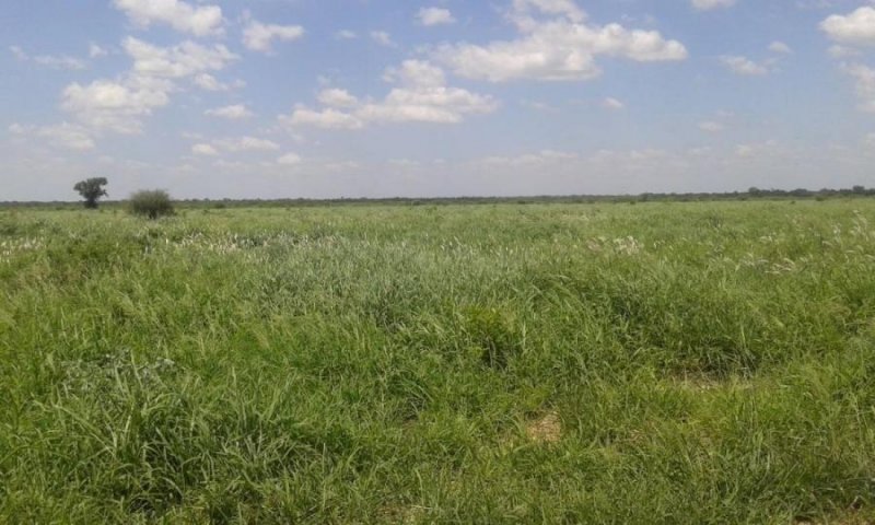 Campo en Venta en  Cdte Fontana, Formosa