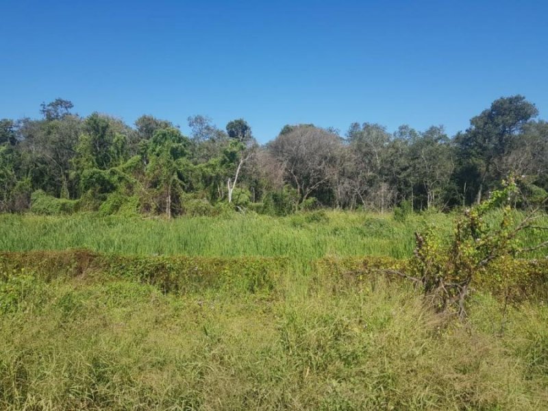 Campo en Venta en  Palo Santo, Formosa