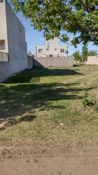 EN VENTA: TERRENO PALMARES NORTE, BANDA NORTE, 10 X 25