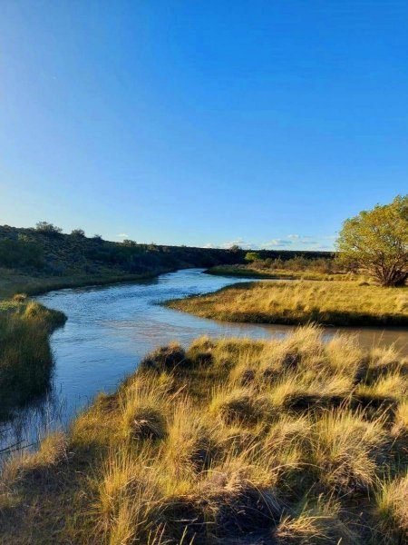 Campo en Venta en  Río Chico, Santa Cruz