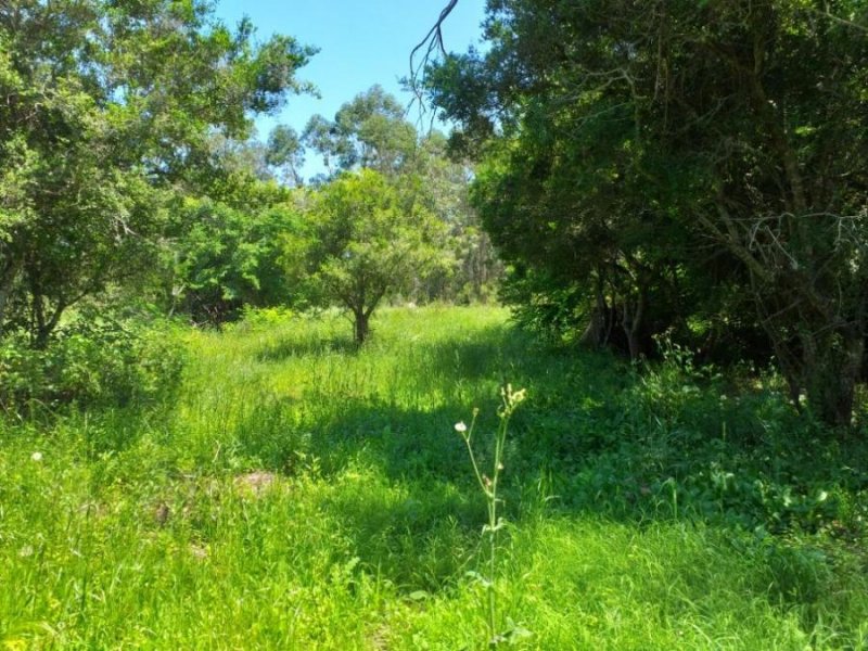 Terreno en Venta en  Punta Indio, Buenos Aires