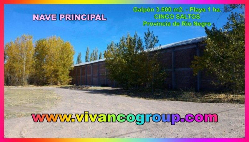 Galpon en Venta en  Cinco Saltos, Río Negro