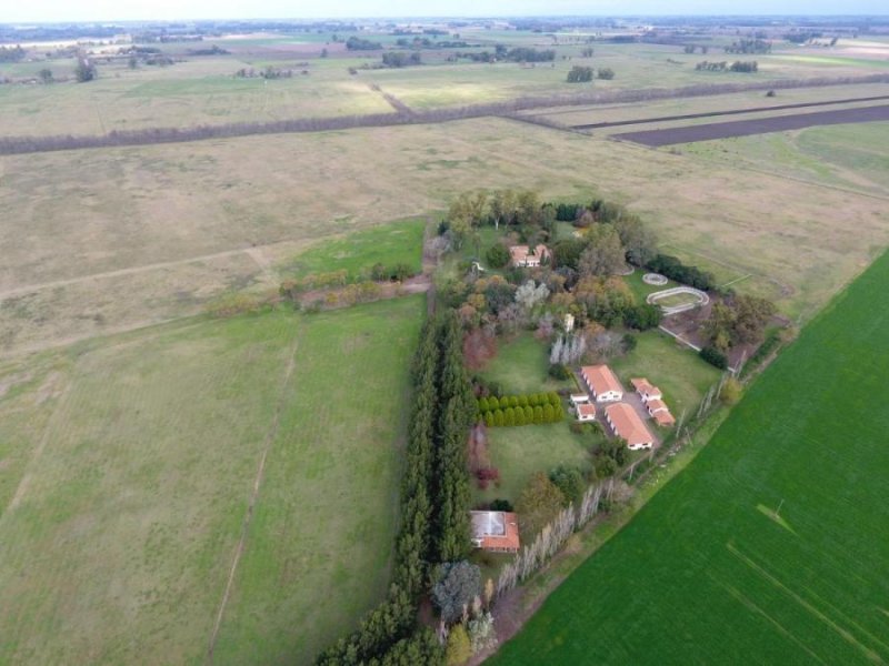 Campo en Venta en  Mercedes, Buenos Aires