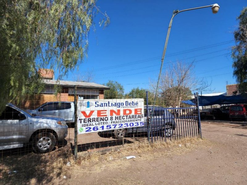 Terreno en Venta en  San Rafael, Mendoza