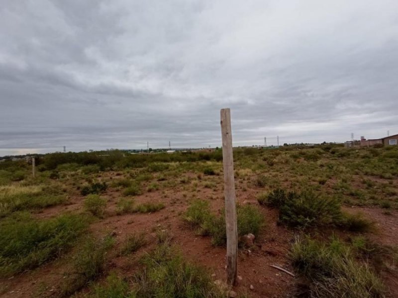 Lote de 1000 m2 en Piedemonte, lujan de Cuyo.