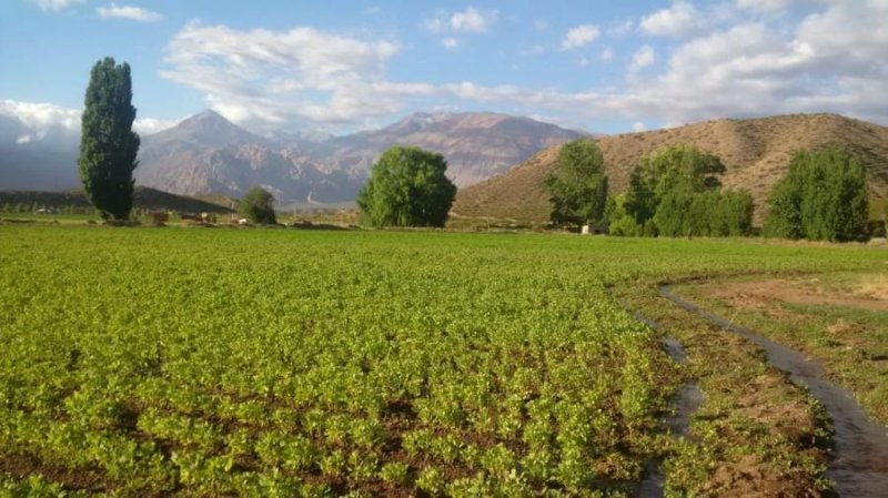 Terreno en Venta en  Uspallata, Mendoza