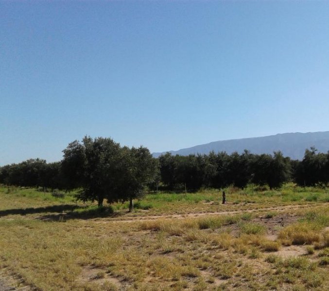 Campo en Venta en  San Fernando del Valle de Catamarca, Catamarca