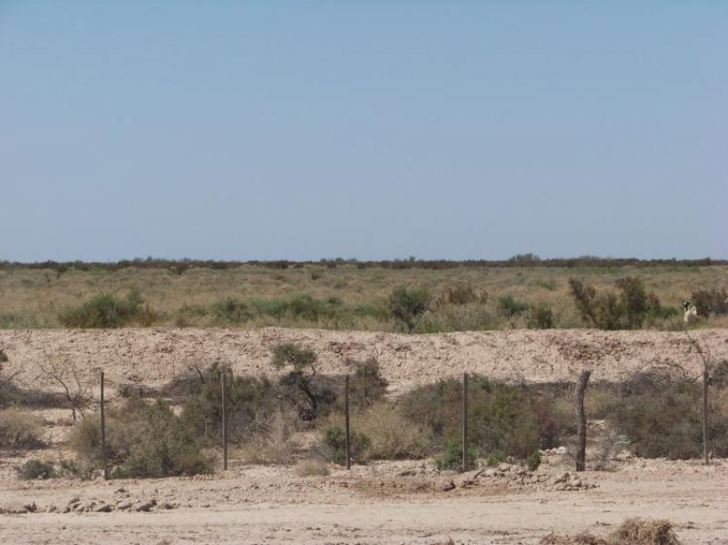 Campo en Alquiler en  General Levalle, Mendoza