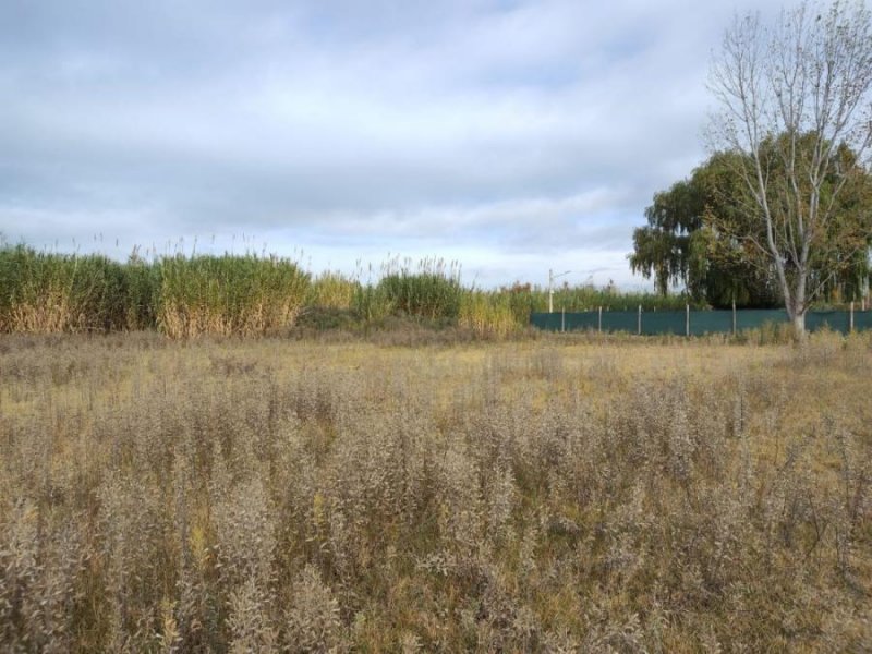 Terreno en Venta en  Los Corralitos, Mendoza