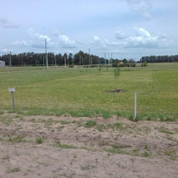 Terreno en Alquiler en  Baradero, Buenos Aires