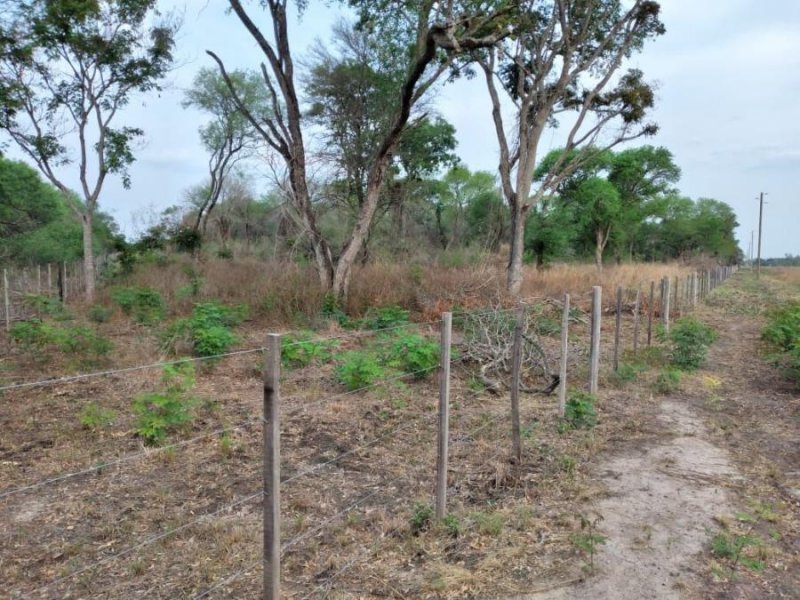 Campo en Venta en  Gral Jose de San Martin, Chaco