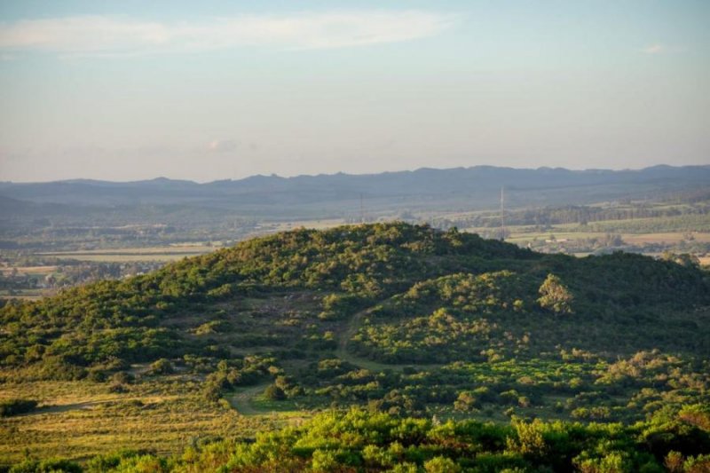 Campo en Venta en  San Martin, Buenos Aires