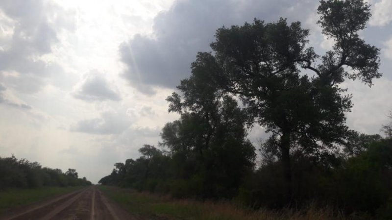 Campo en Venta en  Tres Isletas, Chaco