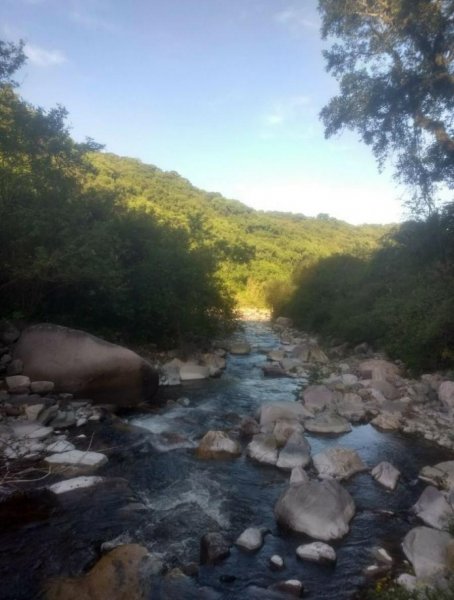 Campo en Venta en  Las Viboras, Salta