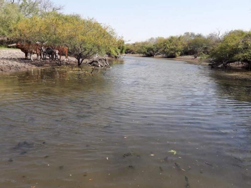 Campo en Venta en  Las Lomitas, Formosa