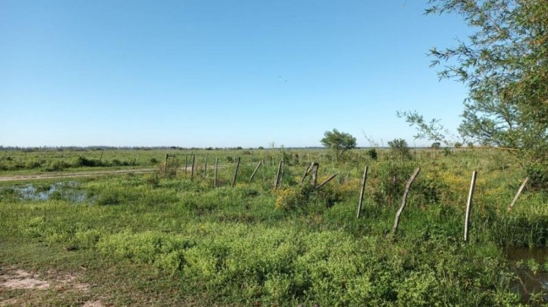 Campo en Venta en  Empedrado, Corrientes