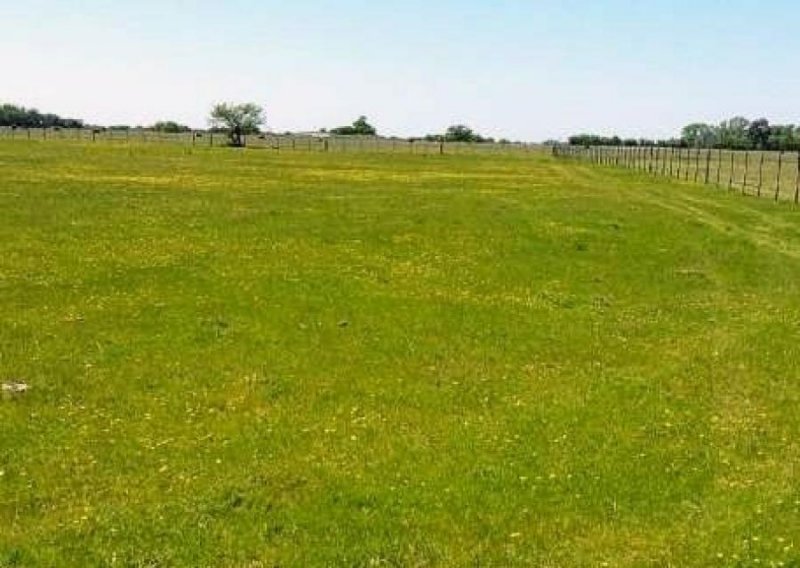 Campo en Venta en  Castelli, Buenos Aires