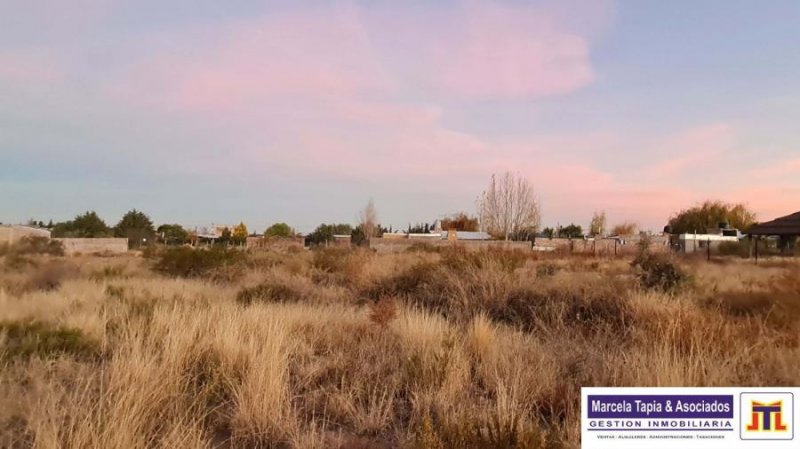 Terreno en Venta en el mollar Sierras de Encalada, Mendoza